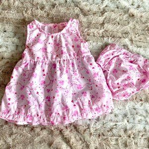 Baby Girl’s Two Piece Spring Dre
